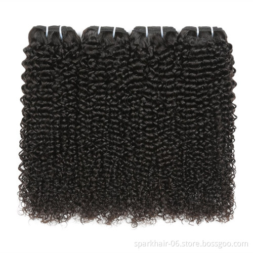 wholesale water wave bundles with closure brazilian  remy hair extensions for natural black color